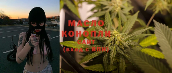 гидра Богородск