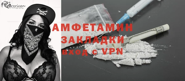 гидра Богородск