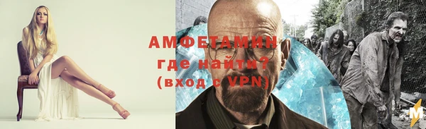 гашиш Богданович
