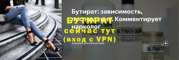 гидра Богородск