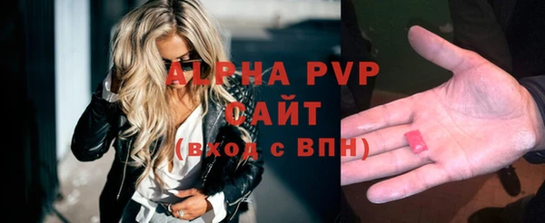 гидра Богородск