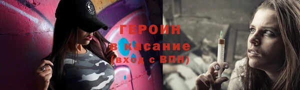 гидра Богородск