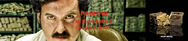 прущие грибы Богородицк