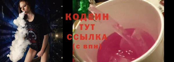 гидра Богородск
