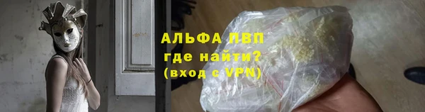 прущие грибы Богородицк