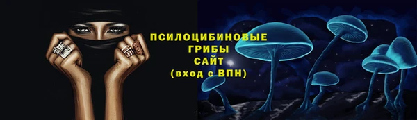 гидра Богородск