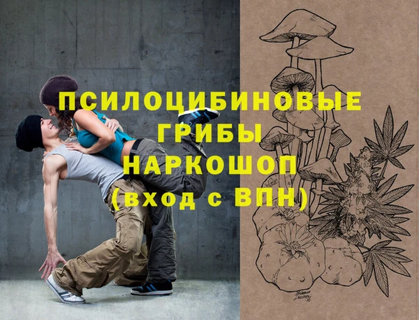 прущие грибы Богородицк