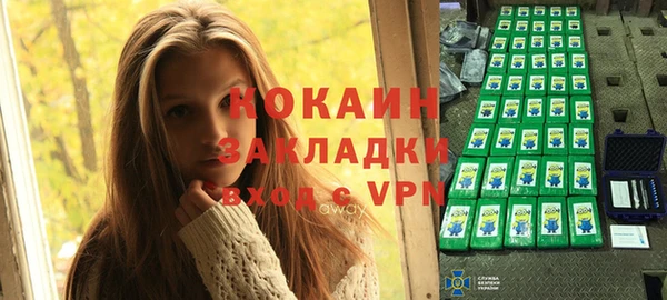 прущие грибы Богородицк