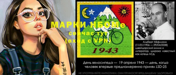 гидра Богородск