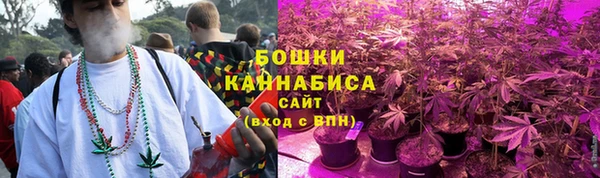 гидра Богородск