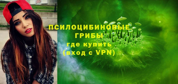 прущие грибы Богородицк