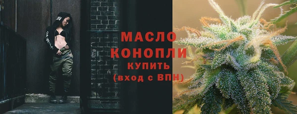 гидра Богородск